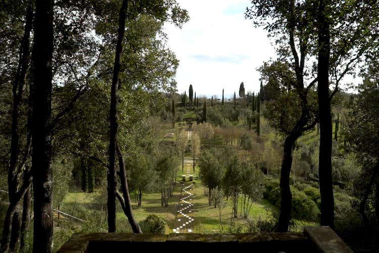 Bosco della Ragnaia. Fonte: Associazione Nazionale Città del Tartufo