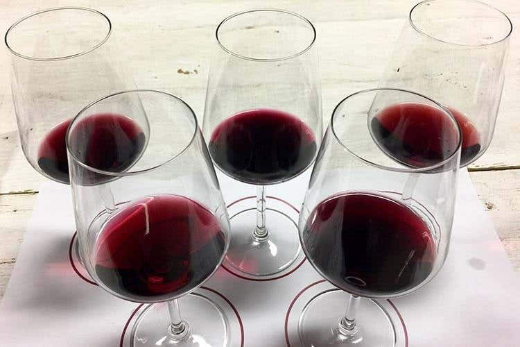 (San Martino alla Masseria Trullo di Pezza )