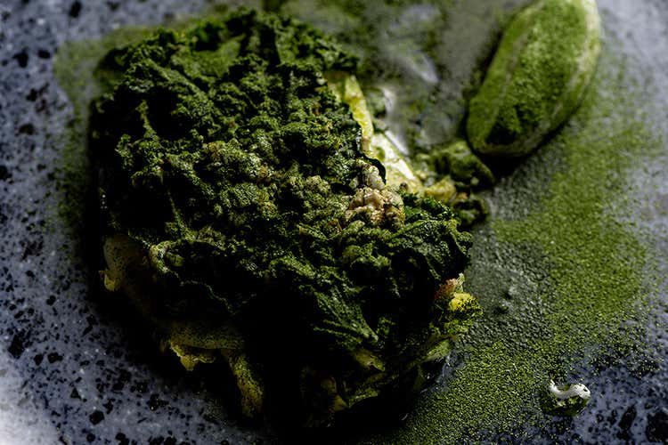 (Senigallia, a Meet in cucina 2019 
vincono ancora le Marche)