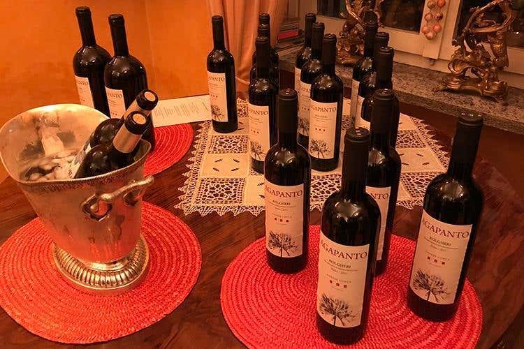 (Silvia Cirri e il Podere Conca Bolgheri 
Cinque ettari di passione e di affetti)
