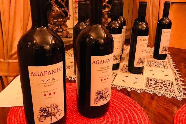 (Silvia Cirri e il Podere Conca Bolgheri 
Cinque ettari di passione e di affetti)