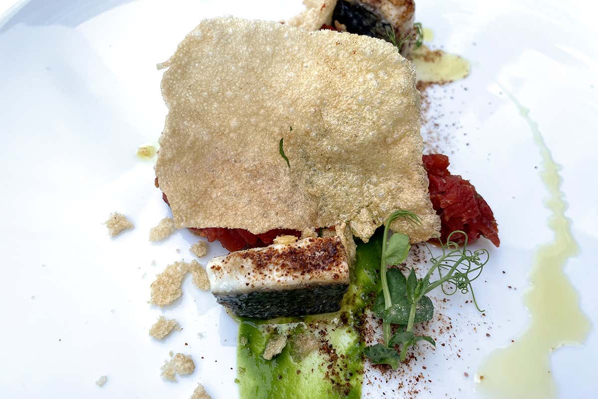 Ombrina al vapore con tartare di pomodoro, pesto alla rucola e frisella soffiata