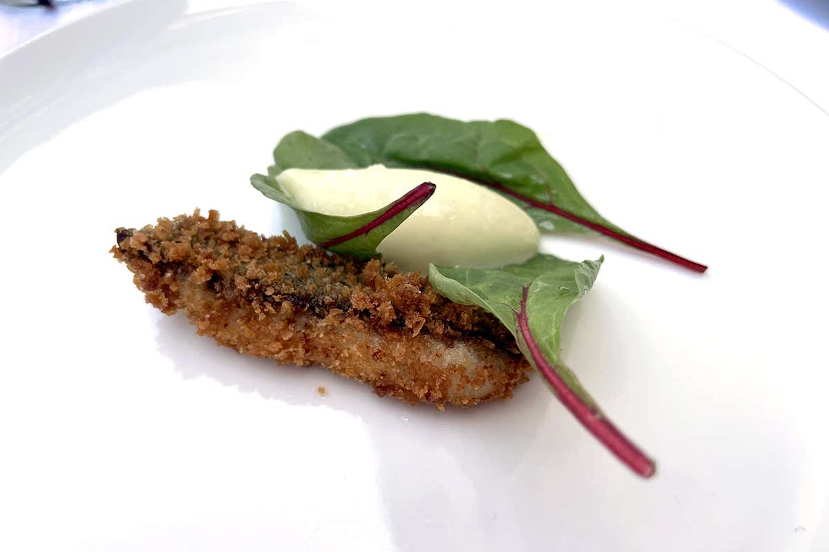 Sgombro fritto con sorbettino mela verde e zenzero e foglie di rapa rossa