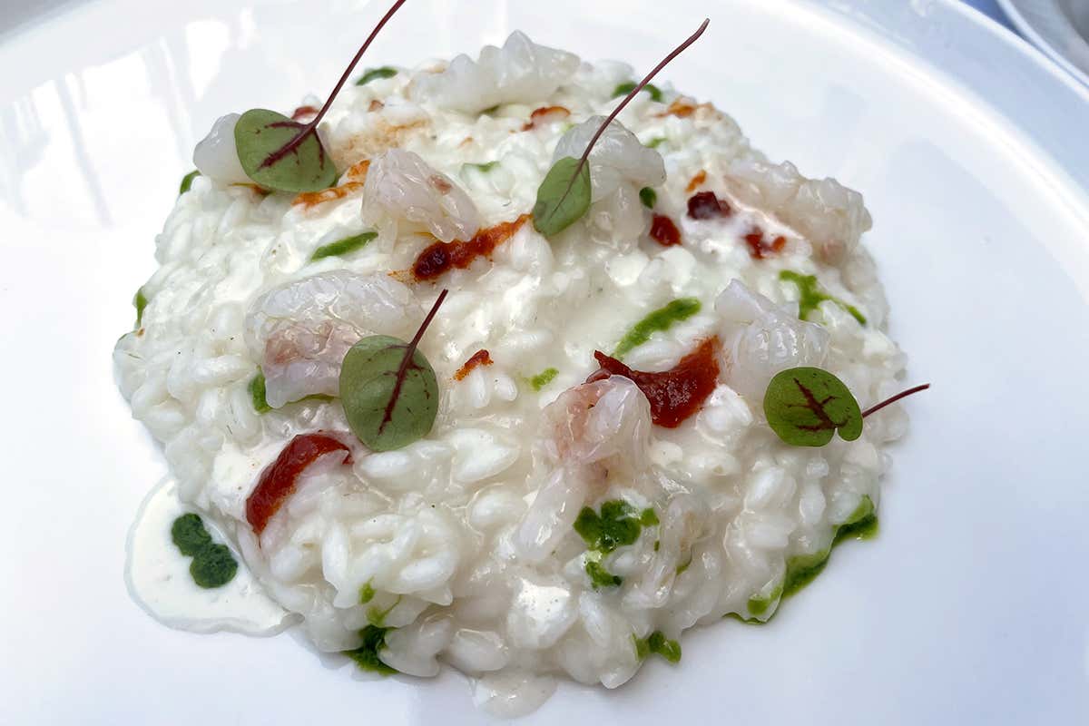 Risotto aglio, olio, nduja e scampo crudo