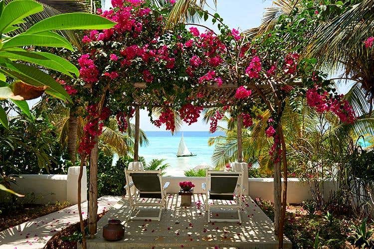 (Soggiorno al Constance Aiyana 
per vivere la magia di Pemba)