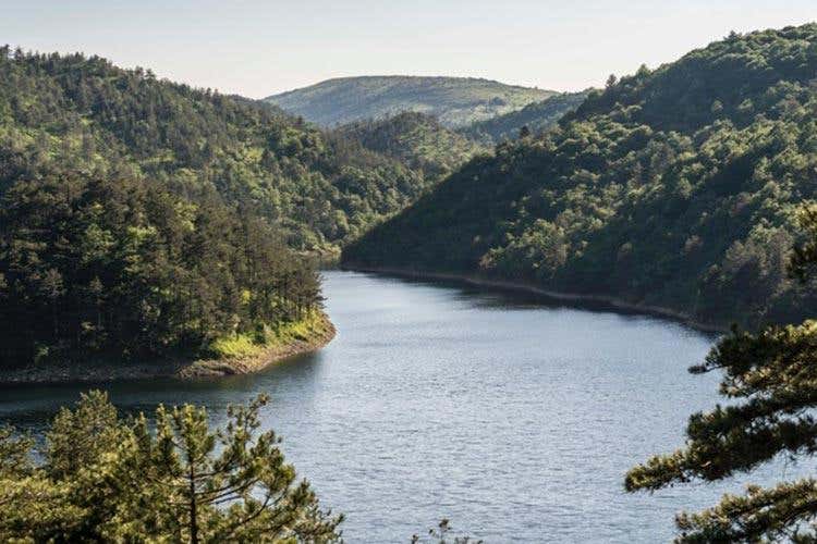 (Sport, storia, cultura e buona cucina 
Il turismo riparte con #Thinkserravalle)