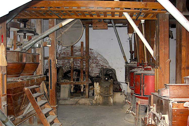 (Sulle strade del vialone nano 
Nel 1996 fu il primo riso Igp)