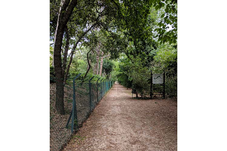 La nuova ciclabile all'interno del Parco Fluviale di Castrocaro