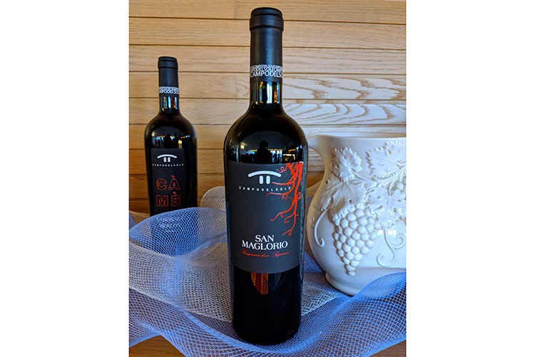 Il Sangiovese di Campo del Sole