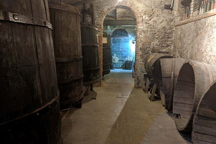Alla Vecia Cantena d'la Prè a Predappio: le cantine 