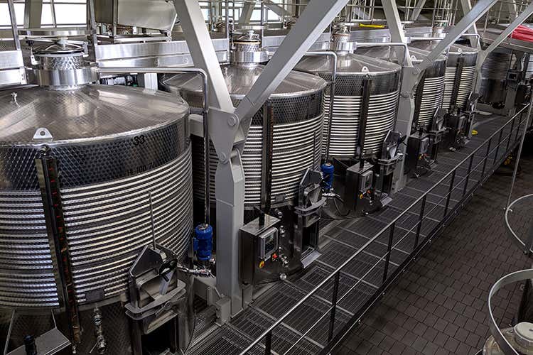 Campo del Sole: si comincia a vendemmiare