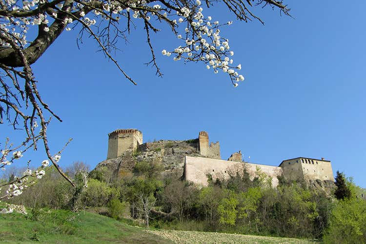 Il Castello di Castrocaro in lontananza