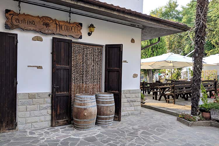 Una cantina artigianale, produttrice dei vini che sanno davvero di Romagna