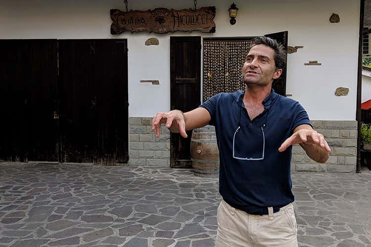 Alessandro Nicolucci, cantina Nicolucci