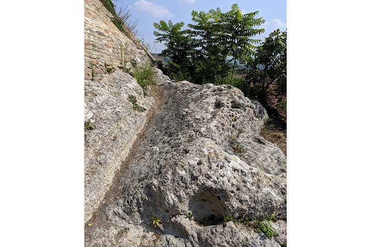 Lo spungone ai piedi della Rocca di Mendola