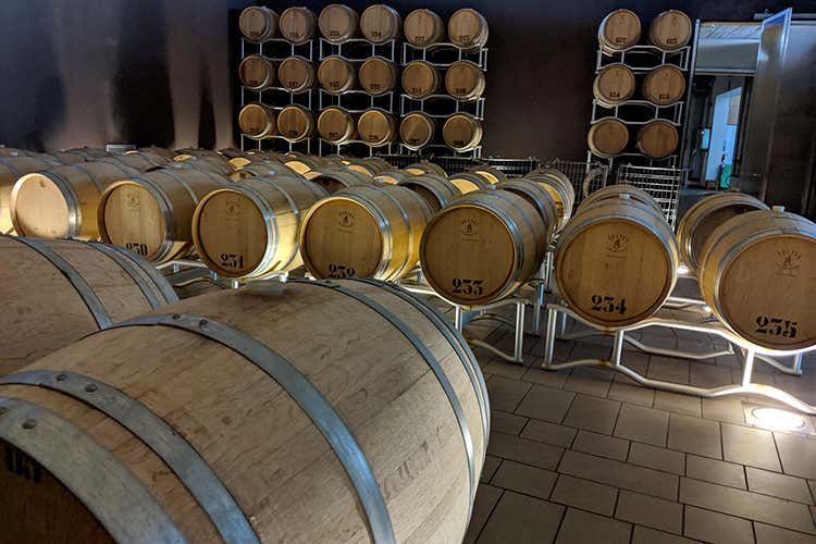 Campo del Sole: in barrique i rossi destinati alla linea Horeca