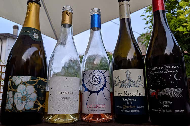 Dal metodo Charmat ai bianchi, dal rosé ai Sangiovese: i vini della cantina Nicolucci a Predappio