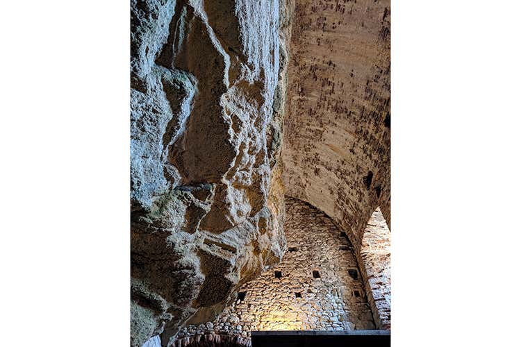 Lo spungone protagonista nel Castello