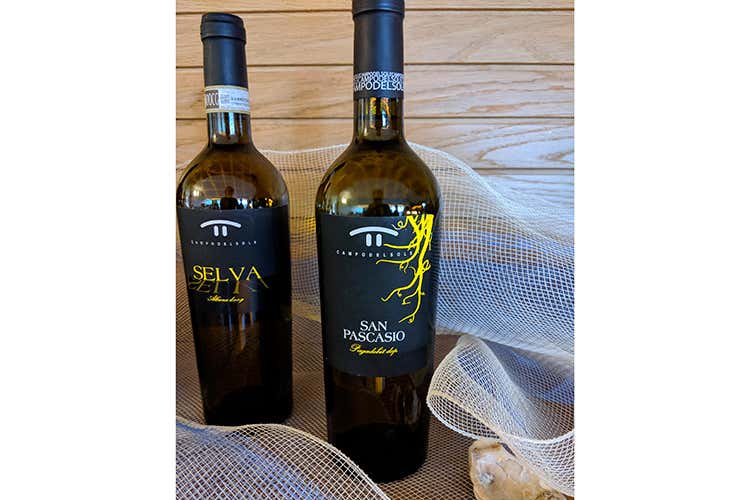 Pagadebit Doc e Albana Docg Campo del Sole