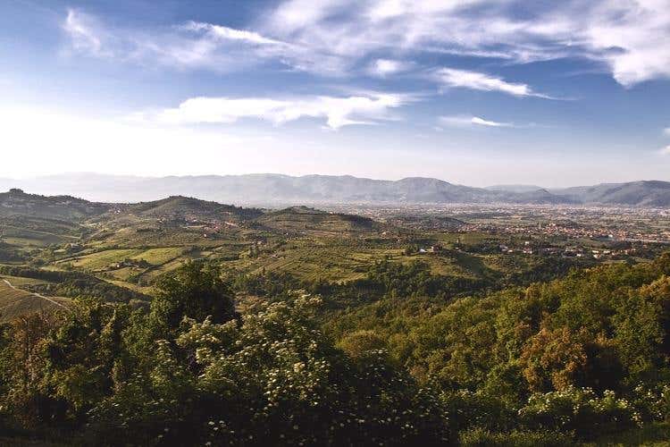 (Tenuta di Artimino 
Nasce la “Caccia al tartufo”)