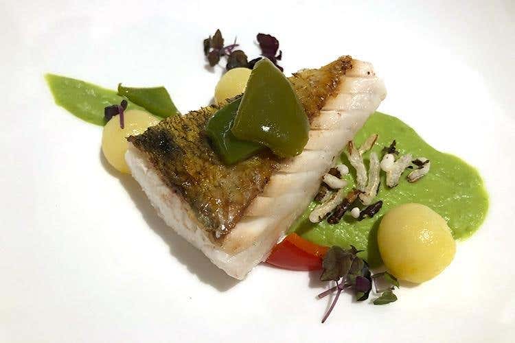 (Tina Marcelli nelle cucine del Feuerstein: 
«Obiettivi? Ristorante gourmet e stella»)