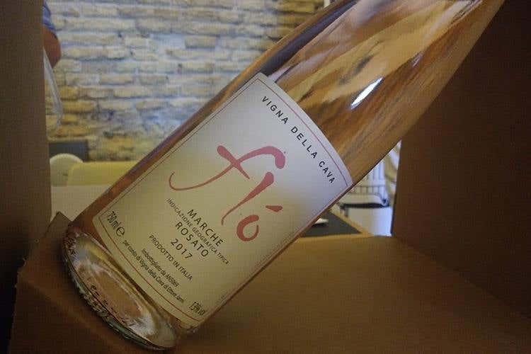 Vini del Conero in degustazione: Flò, il Rosato Marche Igt di Vigna della Cava (Tipicità in Blu, alla 5ª edizione 
si parla di mare, si parla di economia)