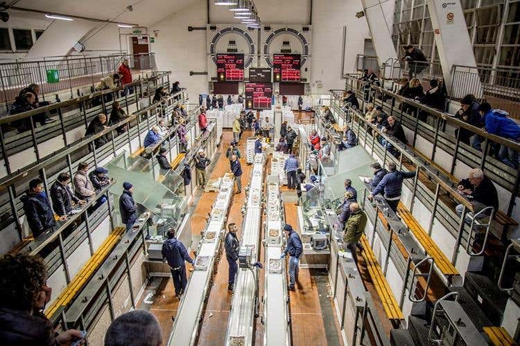 (Tipicità in blu 
Dove il mare incontra le persone)