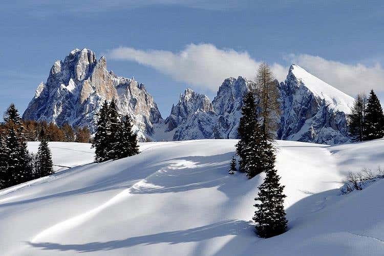 (Tirler, ospitalità a contatto con la natura 
e una cucina attenta, variegata e sana)