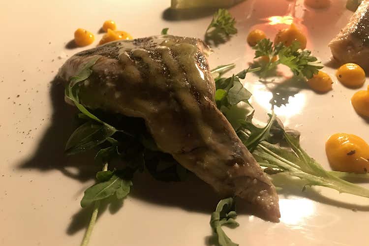 La ricciola (La Tonnarella, a picco sul mare 
Un po' come sentirsi a casa)