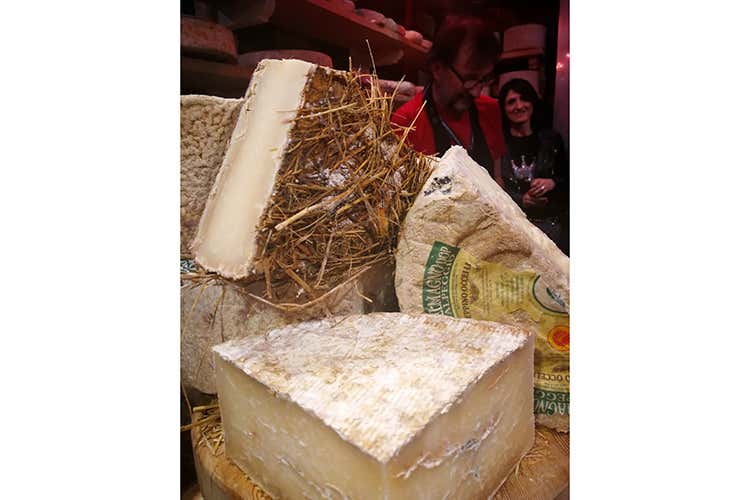 Vetrina del locale di affinamento dei formaggi (Torino, città gastronomica 
Chef star e tour al Mercato Centrale)