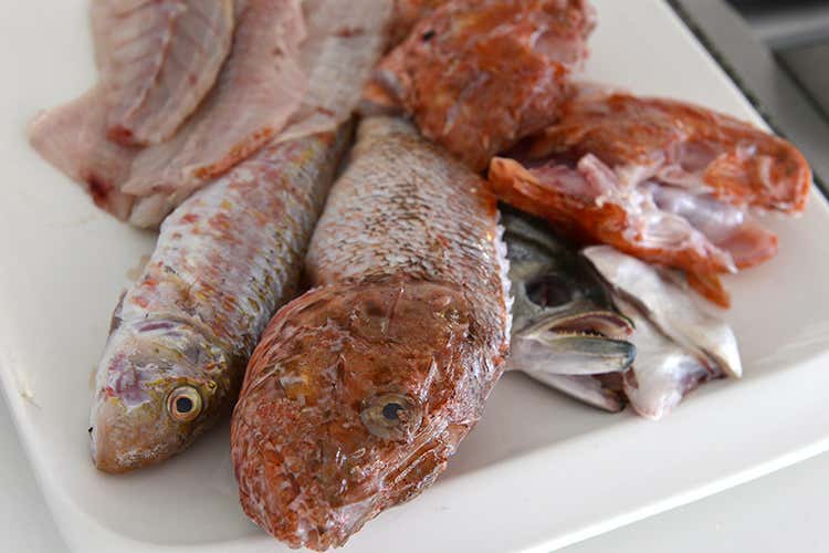 (Torna il BrodettoFest a Fano 
3 giorni di assaggi in sicurezza)