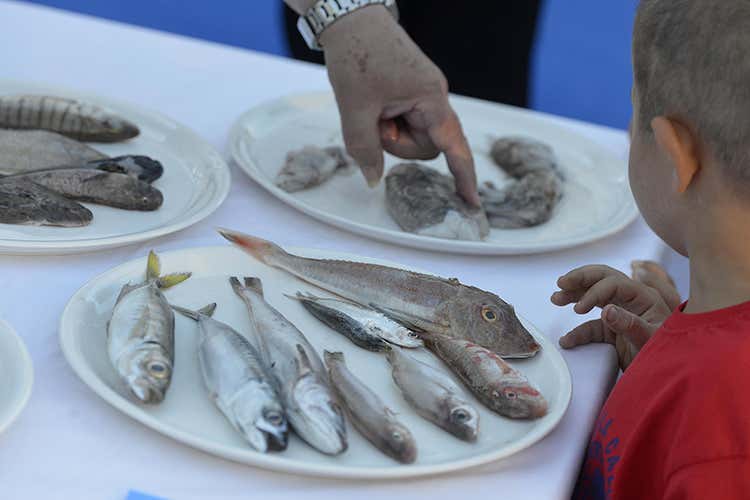 (Torna il BrodettoFest a Fano 
3 giorni di assaggi in sicurezza)