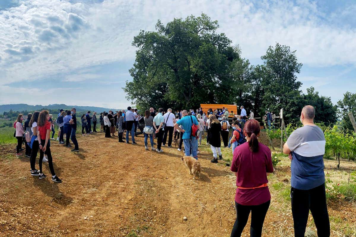 Il contesto in cui sorge l'installazione in località Monte della Guardia
