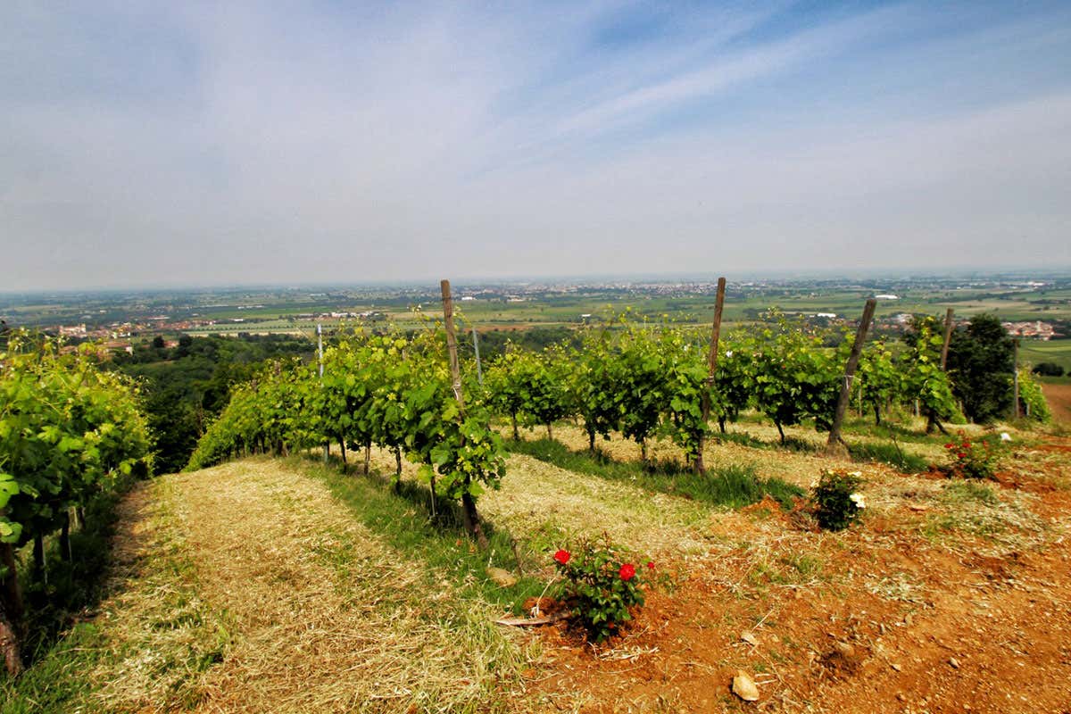 La visuale che si può godere dalla Big Bench