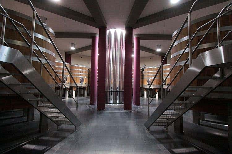 Cantina Salcheto (Toscana, 14 cantine d'arte 
unite per promuovere il territorio)