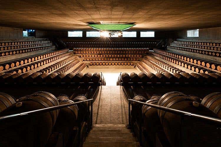 Rocca di Frassinello (Toscana, 14 cantine d'arte 
unite per promuovere il territorio)