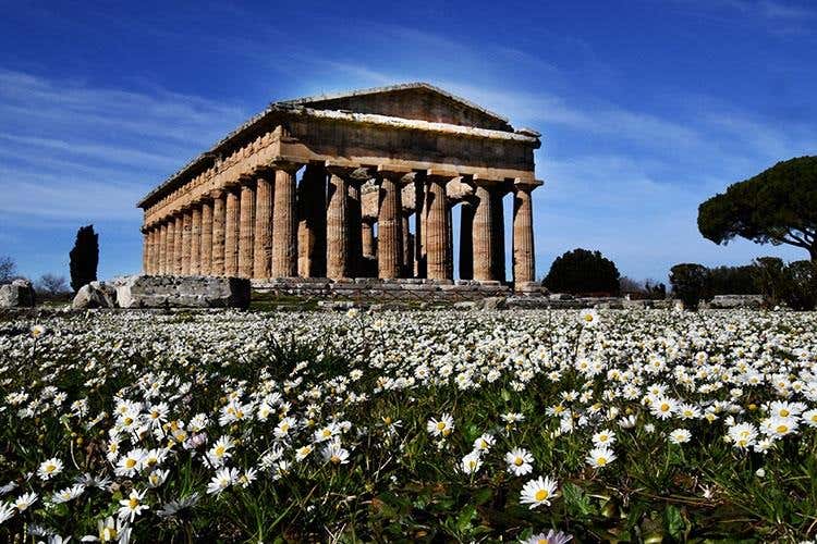 (Tra pescato del giorno e bufala Dop 
Una bell'esperienza la cena al Tre Olivi)
