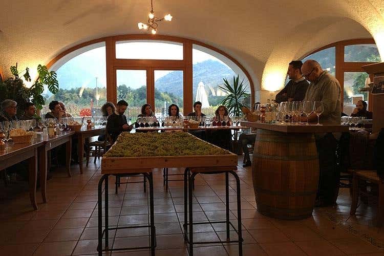 (Trent'anni di Vignaioli Trentini 
Singole realtà e un £$fil rouge$£, il territorio)