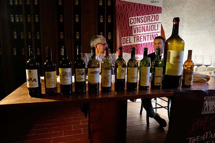 (Trent'anni di Vignaioli Trentini 
Singole realtà e un £$fil rouge$£, il territorio)