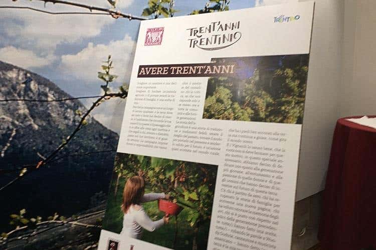 (Trent'anni di Vignaioli Trentini 
Singole realtà e un £$fil rouge$£, il territorio)