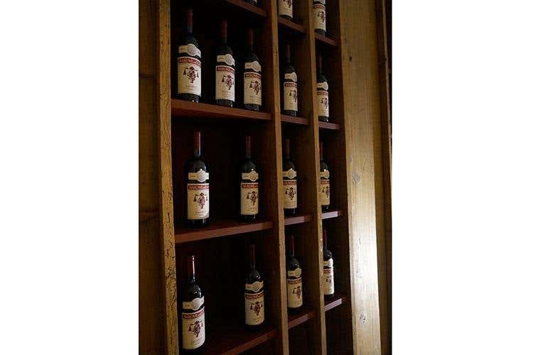 (Trent'anni di Vignaioli Trentini 
Singole realtà e un £$fil rouge$£, il territorio)