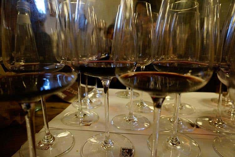 (Trent'anni di Vignaioli Trentini 
Singole realtà e un £$fil rouge$£, il territorio)