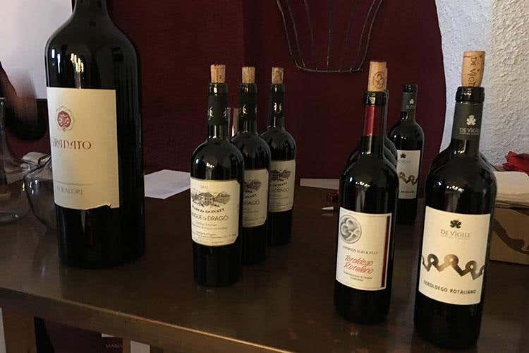 (Trent'anni di Vignaioli Trentini 
Singole realtà e un £$fil rouge$£, il territorio)