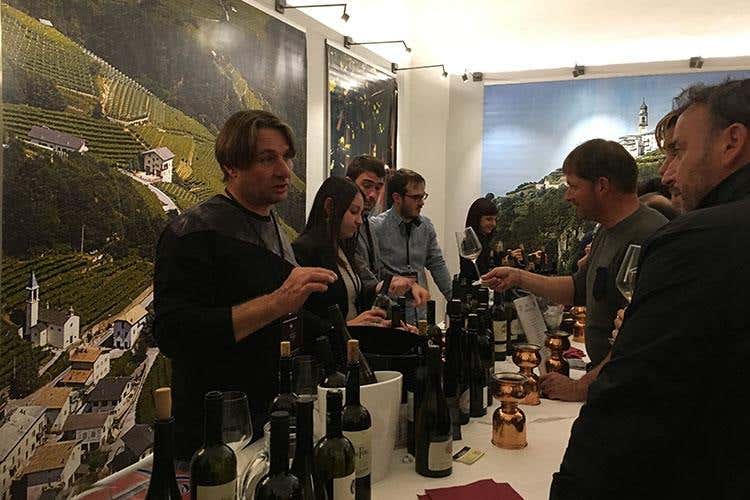 (Trent'anni di Vignaioli Trentini 
Singole realtà e un £$fil rouge$£, il territorio)