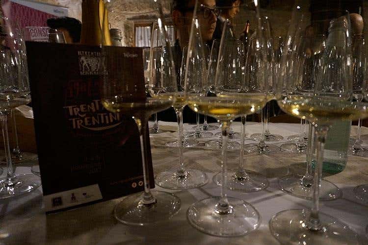 (Trent'anni di Vignaioli Trentini 
Singole realtà e un £$fil rouge$£, il territorio)