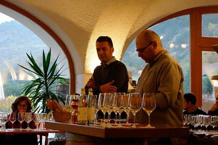 (Trent'anni di Vignaioli Trentini 
Singole realtà e un £$fil rouge$£, il territorio)