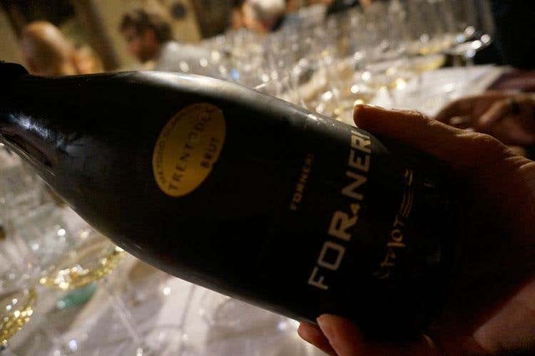 (Trent'anni di Vignaioli Trentini 
Singole realtà e un £$fil rouge$£, il territorio)