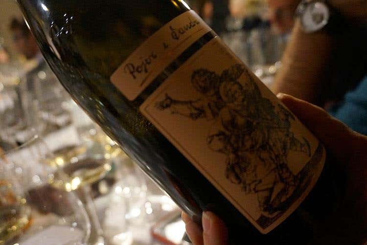 (Trent'anni di Vignaioli Trentini 
Singole realtà e un £$fil rouge$£, il territorio)