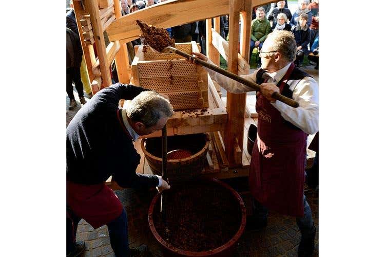 (Trentino Doc Vino Santo 
Il rito della spremitura in Cantina Pisoni)