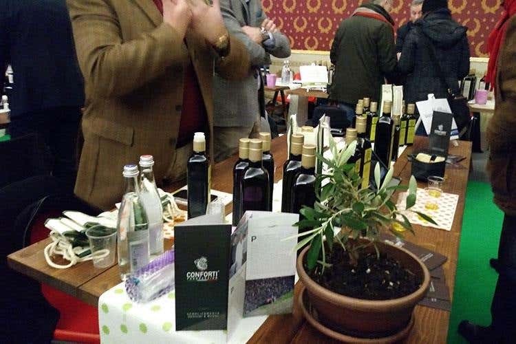 «Tutto buono, ma ti prego, cambia olio» Extralucca, fare rete per fare cultura